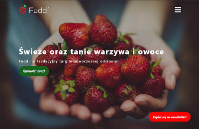 Fuddi Landing Page